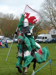 FZ013128 Welsh knight.jpg